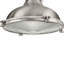Luminaire suspendu en dome à 1 lumière-29388063