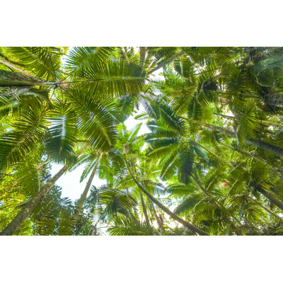 Lush Tropics by Lisa5201