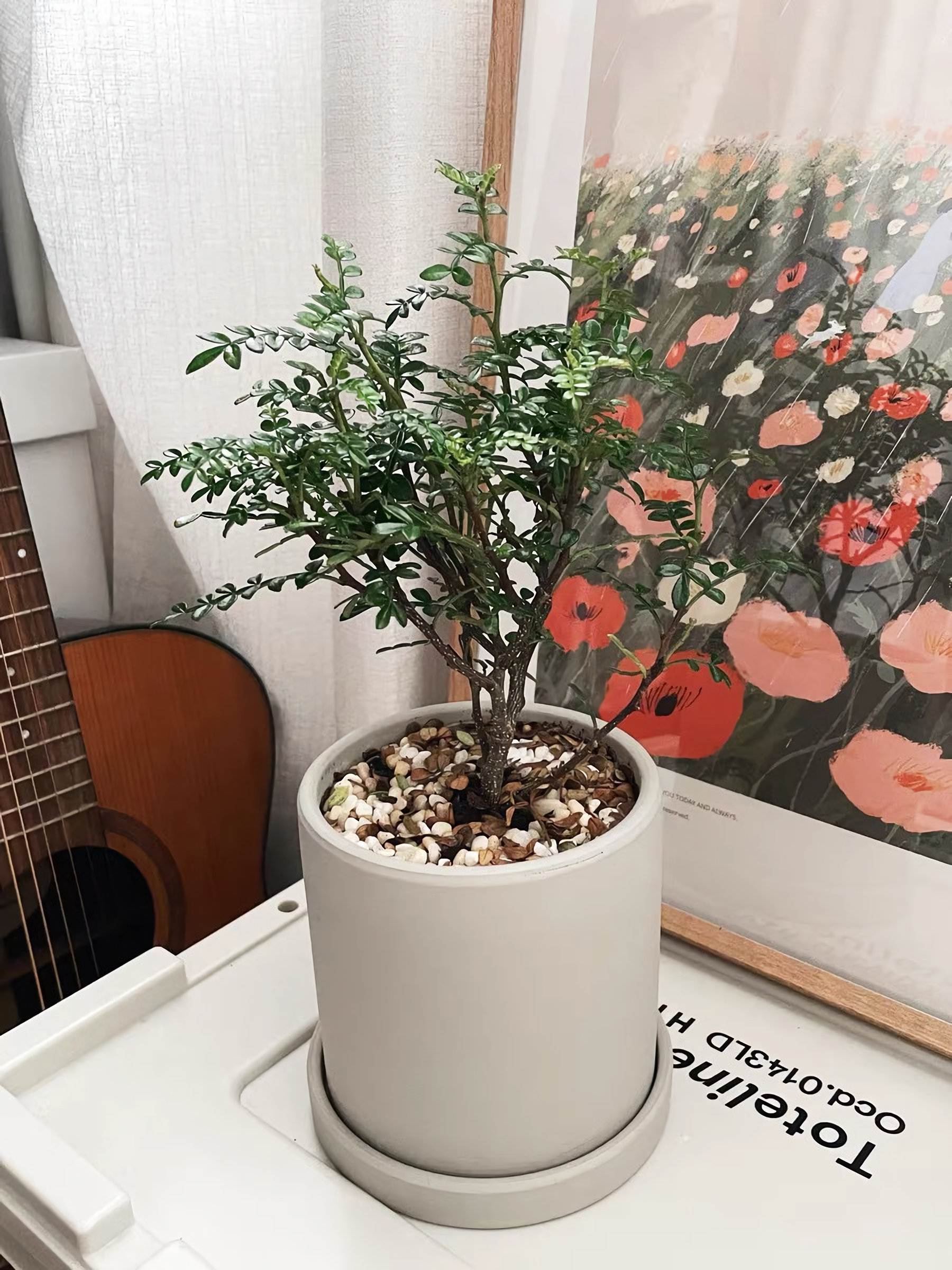 VegTrug™ Self-Watering Herb Planter Box