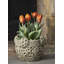 Garth Handmade Planter-13940827