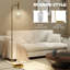 Benayas Traditional Floor Lamp