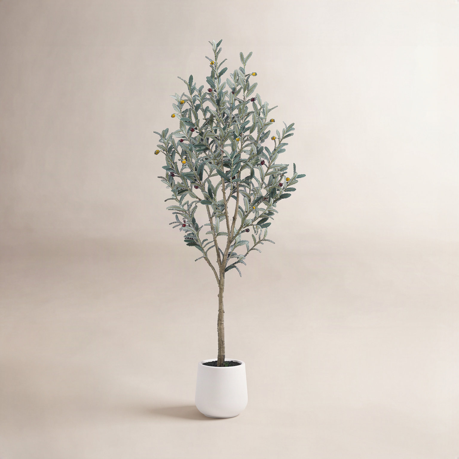 Adcock Olive Tree in Pot, 84" H x 28" W x 28" D