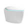 Unique Smart Toilet With Bidet Built In