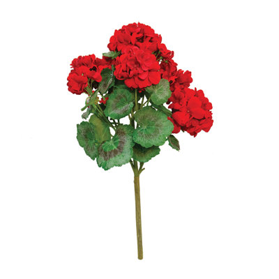 Geranium Bush, 18 po, rouge