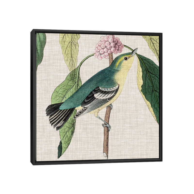 « aviaire crop iv », reproduction d’impression sur toile, H 18 po x l 18 po x P 1,5 po, Toile avec cadre noir, Pas de tapis