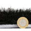 Olympia area rug Machine Woven Rectangle Black-100511893
