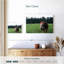 Taureau Hereford-319929989