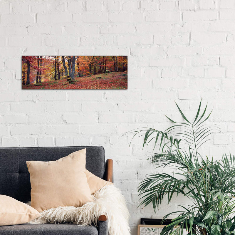 Beech Trees In Autumn, Aberfeldy, Perth And Kinross, Scotland - Wrapped Canvas Panoramic Print