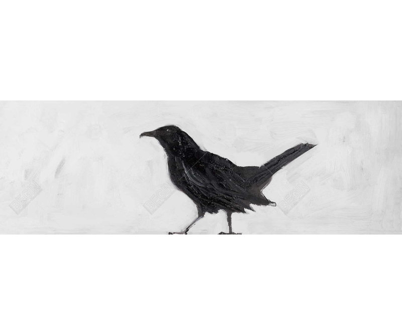 " Lonely Crow " on