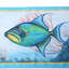 Récapitulatif 17" gâchette fish
