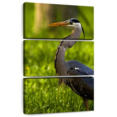 Brampt Grassland Grey Heron