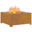 Outdoor Fire Pit-205487783-205487781