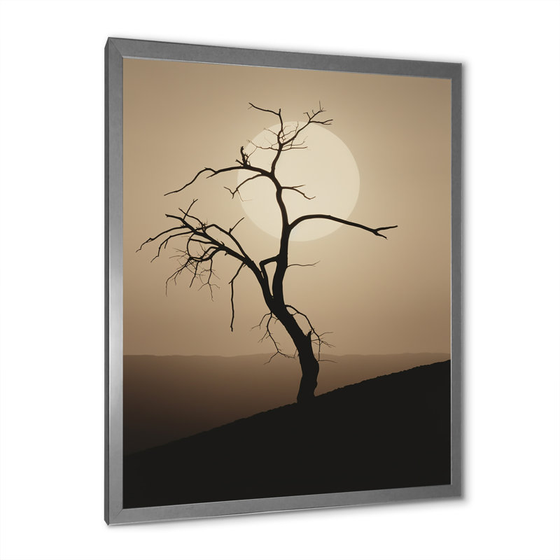 Minimalisme clair de lune, désert, simplicité, Cadre simple argenté, H 44 po x l 34 po x P 1,5 po