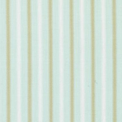 Tissu Palmdale Stripes