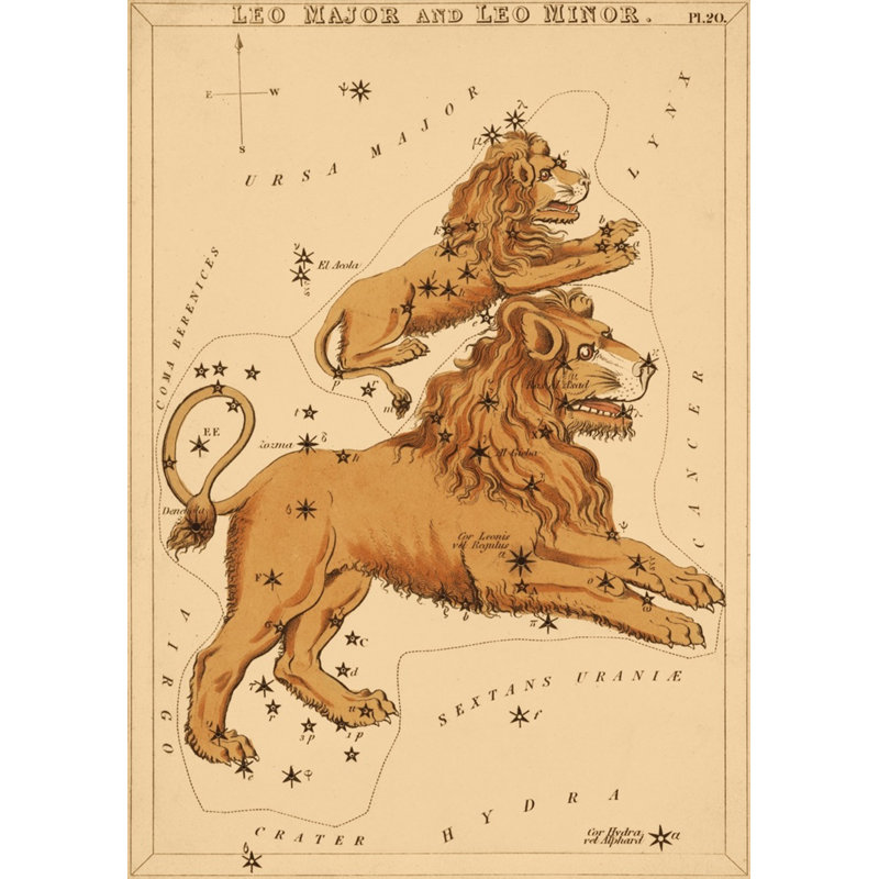 Leo Print by Grand Archives, Black Framed, 32" H x 23" W