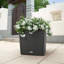 Moneak Planter Box-2032306924-2033258003