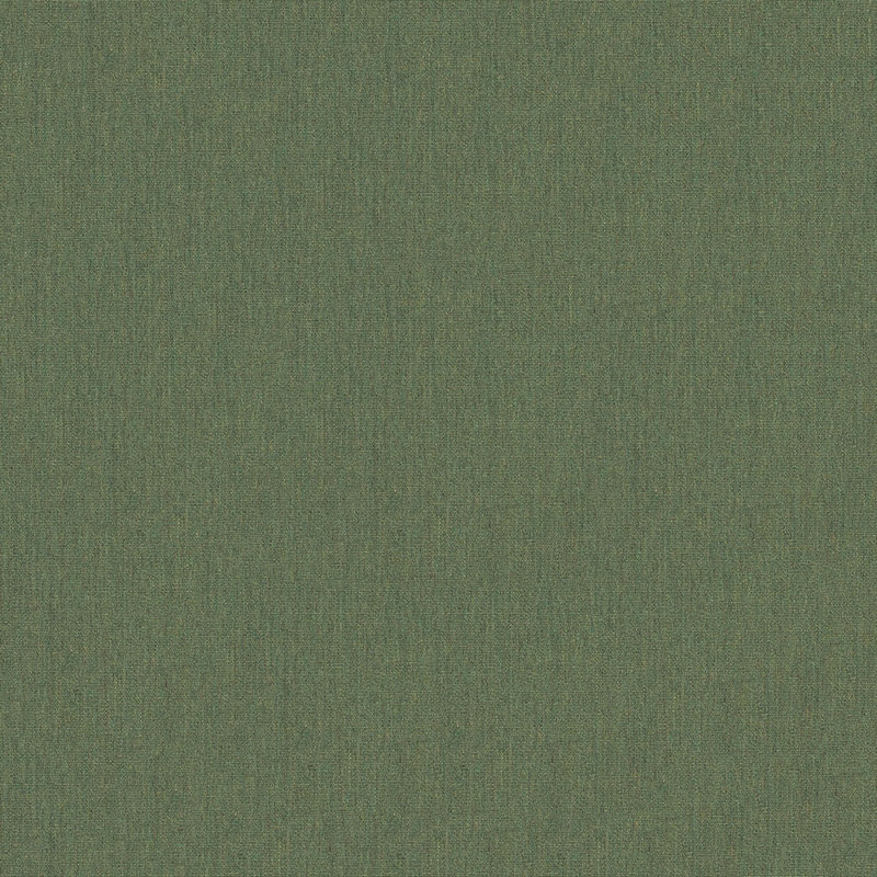 Tissu Sunbrella 60 po, Fougère