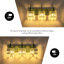 Taevion 3 - Light Dimmable Vanity Light-1106140653