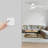Carro Home Smart Switch, Fan Speed Control And Light On/off Switch Works With Amazon Alexa, Google Home, And Siri Shortcut, Universal Wifi Fan & Light Controller.-112013668