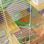 Cage à hamster à 5 niveaux avec tubes et tunnels PawHut