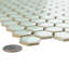 Hudson 1" Hex Light Green 11-7/8" x 13-1/4" Porcelain Mosaic Tile