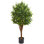 4 pi Arbre artificiel en eucalyptus résistant aux rayons UV (intérieur / extérieur)