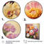 "Colorful Zinnias", impression romantique sur toile encadrée-576717439-576717408