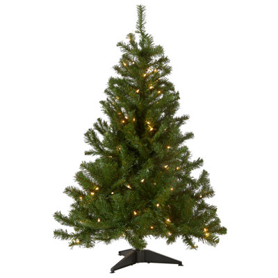 Fir Christmas Tree