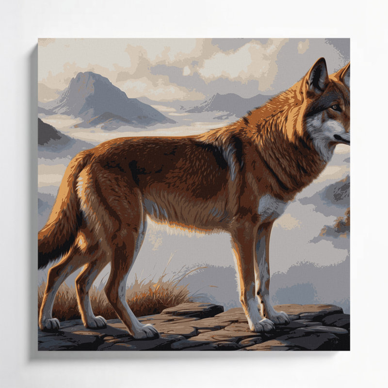 Faune, loup éthiopien, art mural sur toile, H 16 po x l 16 po