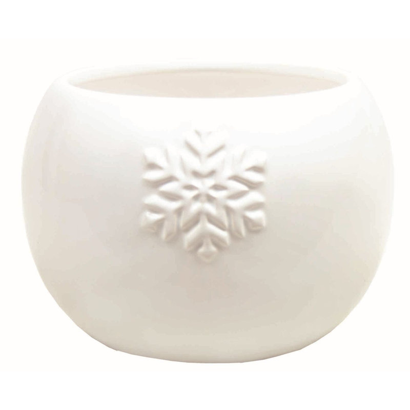 Jivaro blanc glacé avec pot de fleurs en flocon de neige