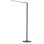 Lady7 52.05'' Dimmable LED Floor Lamp