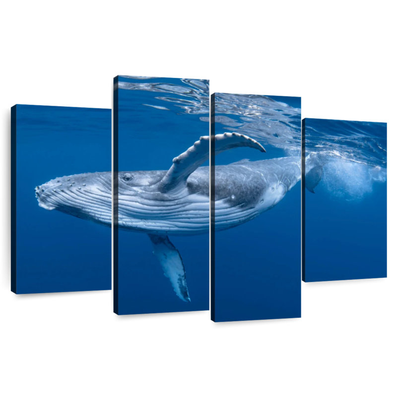 Brampt Baby Humpback Whale, 22" H x 36" W