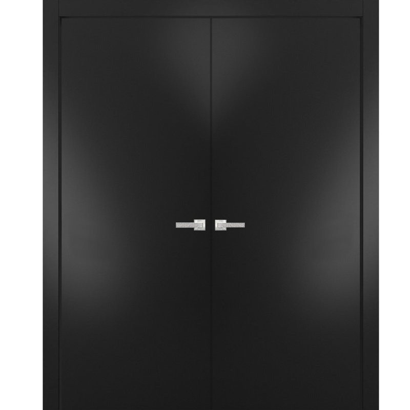 Portes françaises Planum Flush, 48 po x 80 po, Noir mat