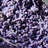 Quartz Var. Agate de raisin près de Pantai Manakarra, Mamuju, Sulawesi, Indonésie