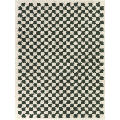 Wingate Checkered Shag Area Rug