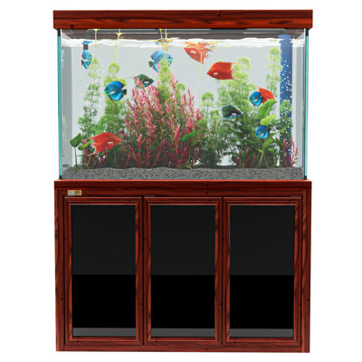 Réservoir d'aquarium 50 gallons