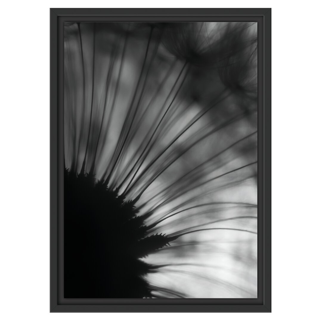 Gerahmtes Poster Dandelion