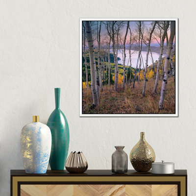 Aspen Forest Overlooking Fremont Lake, Bridger-Teton National Forest, Wyoming I by Tim Fitzharris - Gallery-Wrapped Canvas Giclée on Canvas