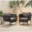 Accessoires de salon élégants, fauteuils exquis