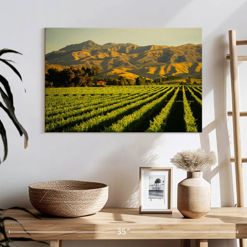 Alvord Blenheim Vineyard, H 16 po x l 24 po