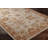 Oriental Indoor Rug-70926863