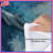Dolphins In Ocean Comforter-123334692
