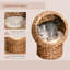 Lit surélevé pour chat avec coussin de coussin confortable, panier rotatif, endroit enchanteur pour animal de compagnie intérieur, H 23,5 po, coussin doux brun, pour chatons,