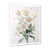 Cadre simple blanc