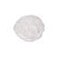 Artichoke Earthenware Dinner Plate