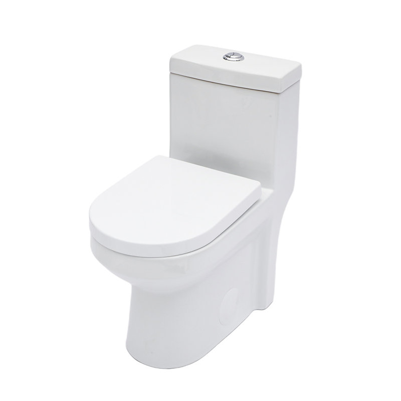 Ceramic One Piece Toilet for Bathroom, 12-inch Rough-In, 1.1/1.6 GPF, Dual Flush with Soft Clsoing Seat, Powerful Dual Flush MAP 800g