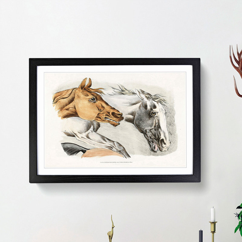 Horse Illustrations by Henry Alken - Picture Frame Painting Print, 36cm H x 48cm W x 2cm D, Black Framed