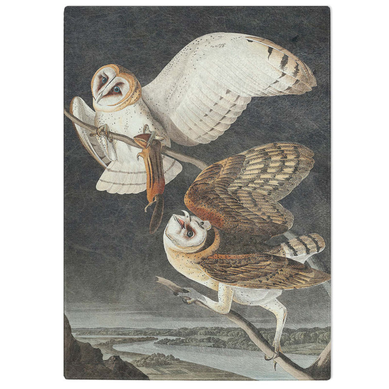 Tempered Glass Barn Owls Chopping Board, 20 cm W x 28.5 cm L