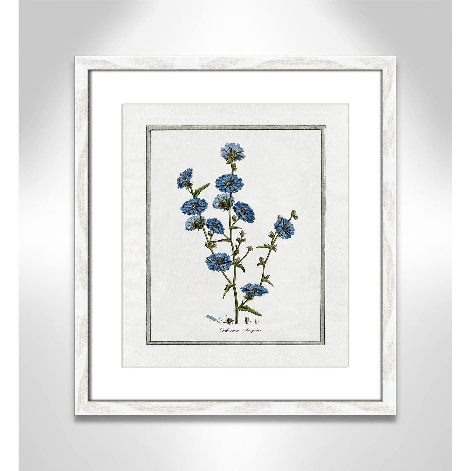 Colombe "Soft Botanical I" Print, 13" W x 15" H, White Framed