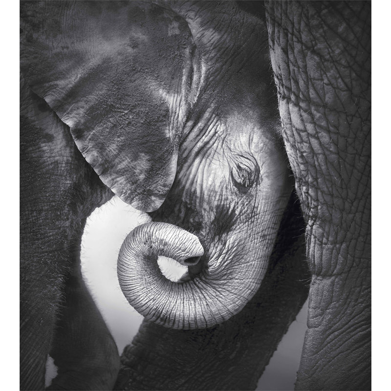 Charcoal Grey Elephant Art Queen Duvet Cover Set